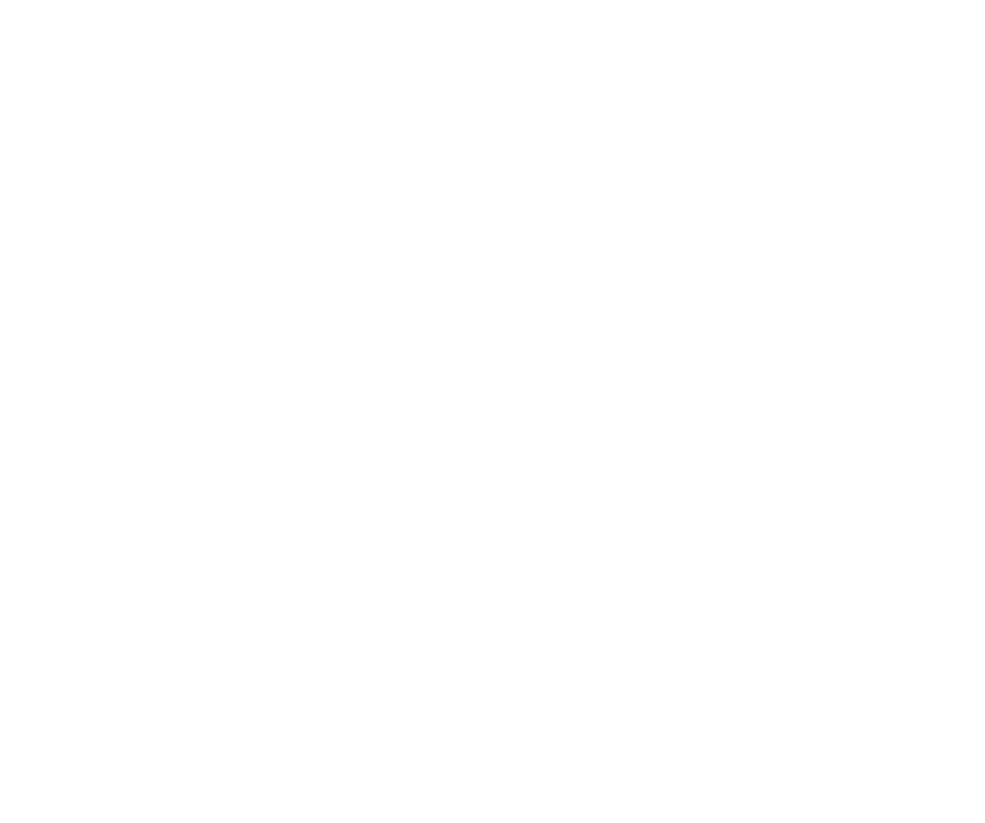 Animated Logo